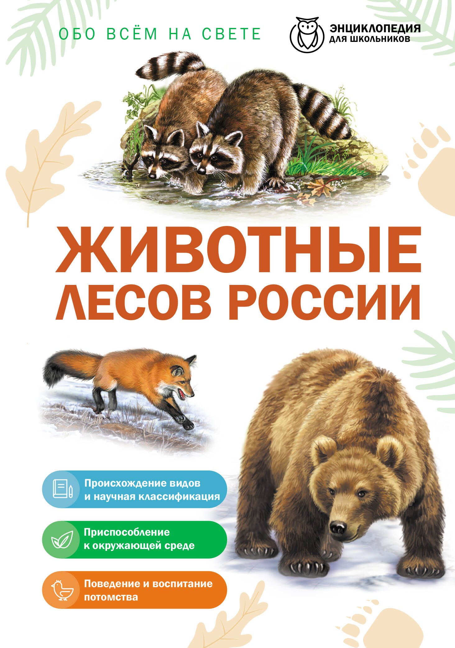 None Животные лесов России