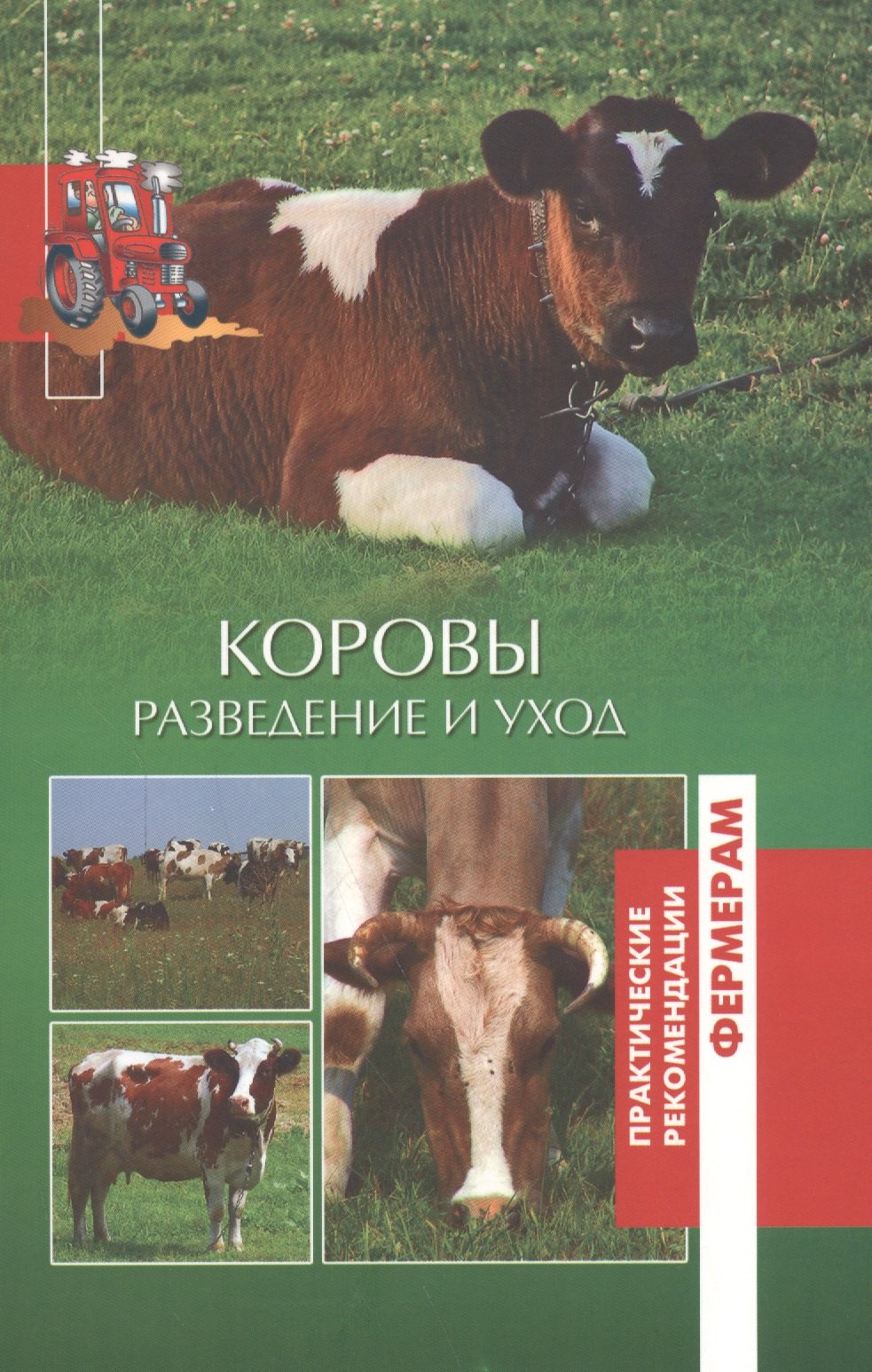 

Коровы. Разведение и уход.