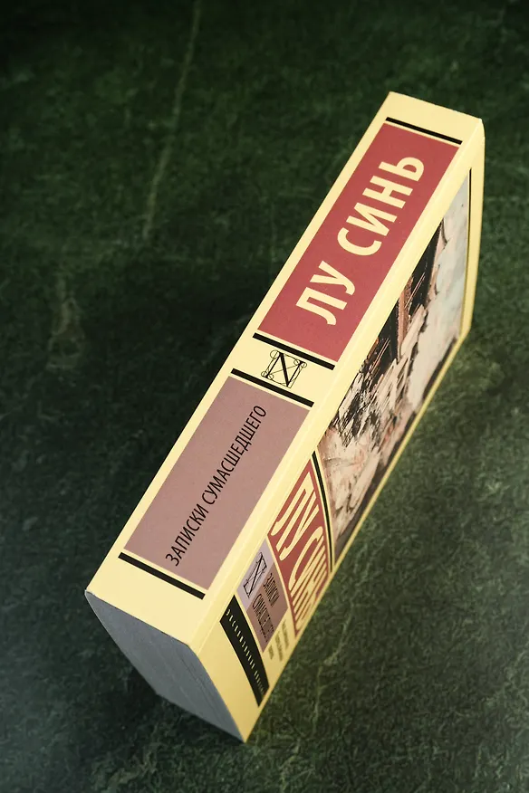 Книга Записки сумасшедшего (Синь Лу) — 7