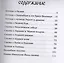 Легенды Ведической Руси. Сборник русских сказов. Книга третья — 2600090 — 2
