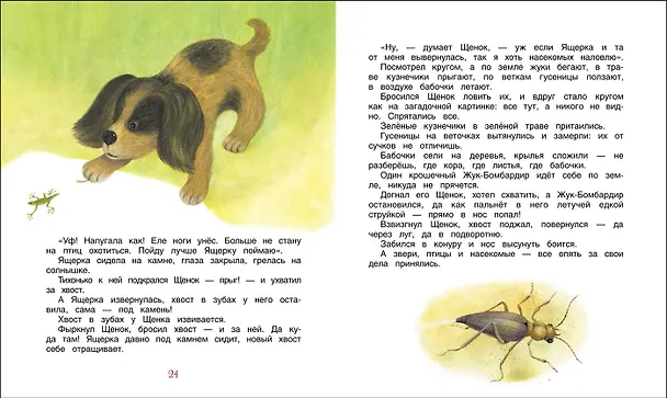 Книга Рассказы и сказки о животных (Виталий Бианки) — 2