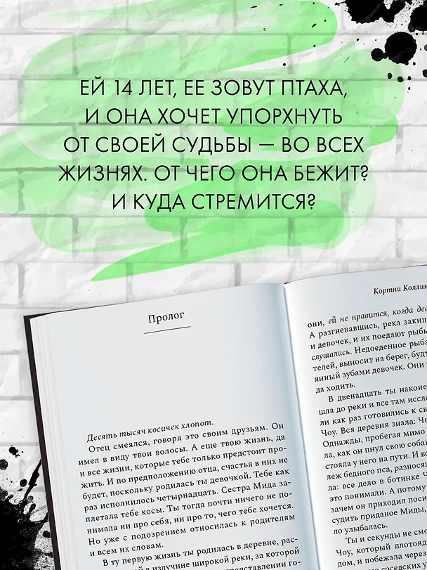 Книга Птаха (Кортни Коллинз) — 6