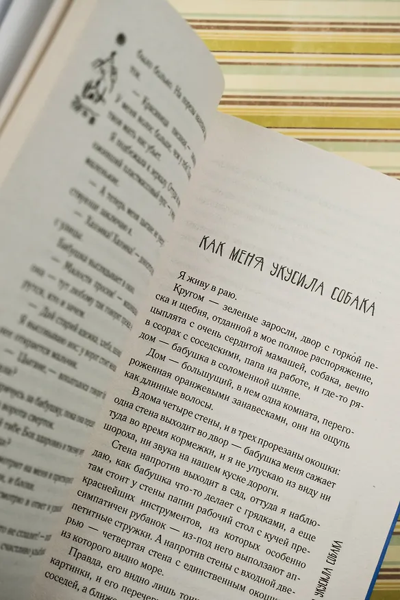 Книга Лето, бабушка и я (Тинатин Мжаванадзе) — 8