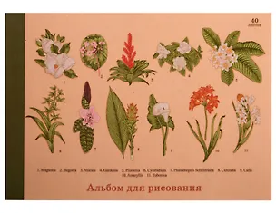 Альбом для рисования «Ботанический сад» Unnika A4, 40 листов, склейка 402767