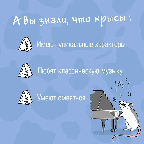 Книга Чего окрысилась?! Как понимать своего питомца (Иришка МиМи) — 7