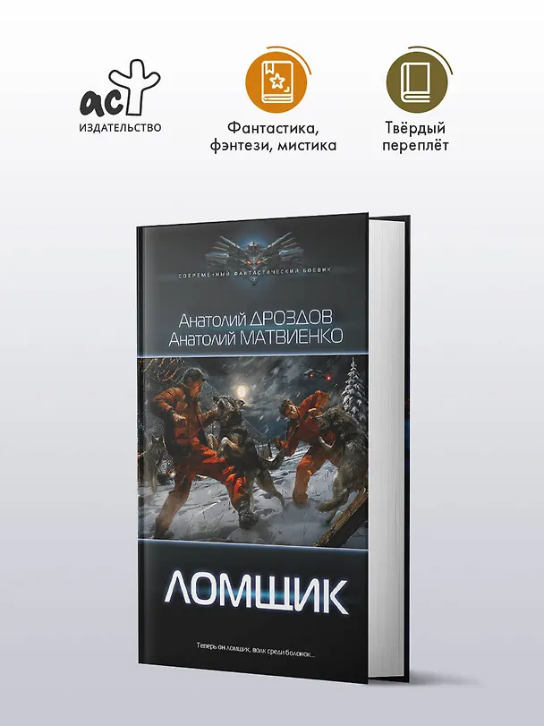 Книга Ломщик (Анатолий Дроздов, Анатолий Матвиенко) — 5