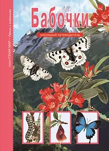 Бабочки: Школьный путеводитель