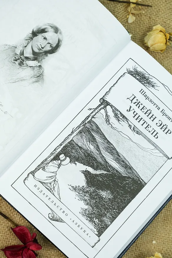 Книга Джейн Эйр. Учитель (Шарлотта Бронте) — 16