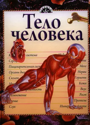 Тело человека — 2326354 — 1