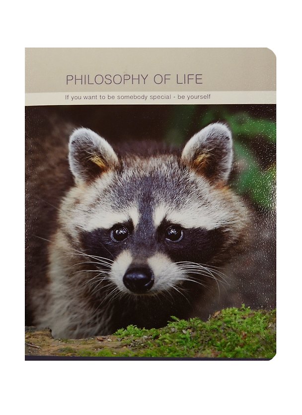 Тетрадь общая «Raccoon», 48 листов в клетку, А5 - Be Smart 240343 — 1