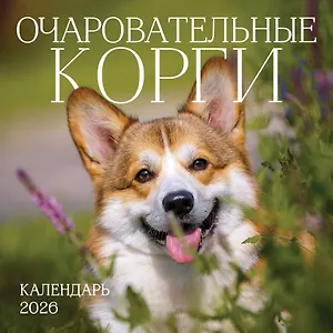 Календарь 2026г 300*300 "Очаровательные корги" настенный, на скрепке