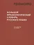 Большой фразеологический словарь русского языка. Значение. Употребление. Культурологический комментарий — 2963342 — 1