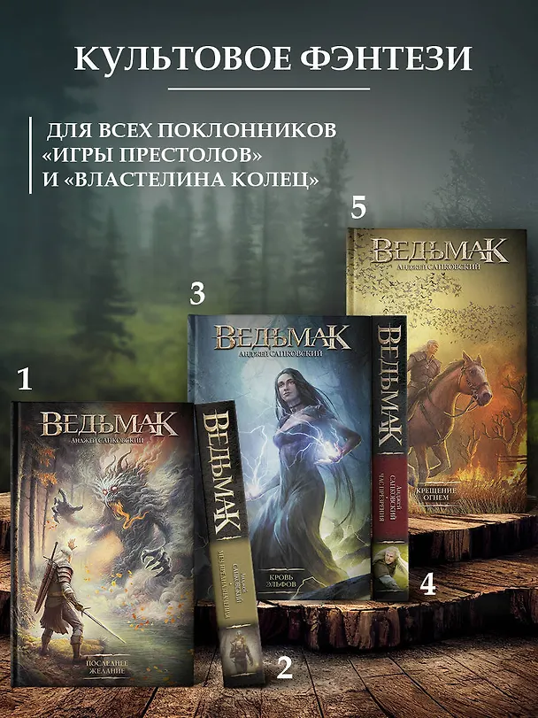Книга Последнее желание (Анджей Сапковский) — 6