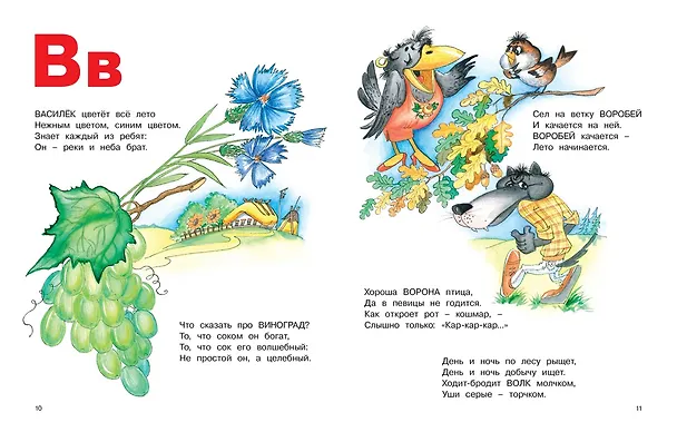 Книга Буквы. Азбука. Считалки (Владимир Степанов) — 4