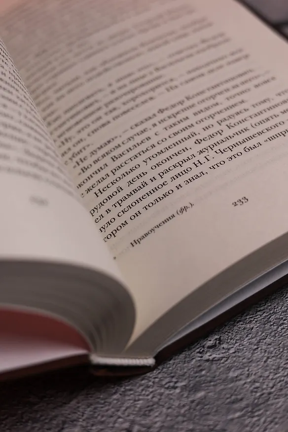 Книга Дар (Владимир Набоков) — 12