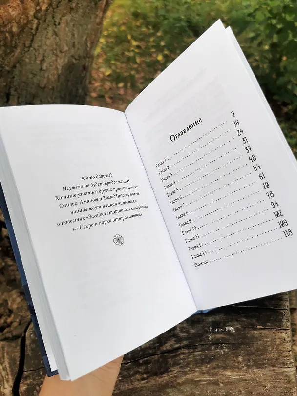 Книга Тайна заброшенного дома (Флориан Дениссон) — 14