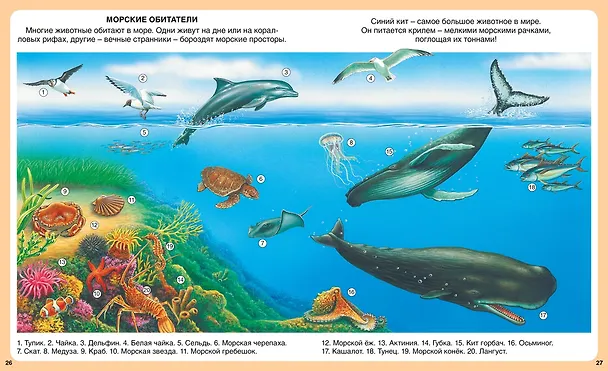 Книга Загадки природы (Эмили Бомон, Мари-Рене Гийоре) — 6