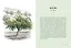 Деревья. Как жизни человека и дерева переплетены друг с другом — 2881316 — 2