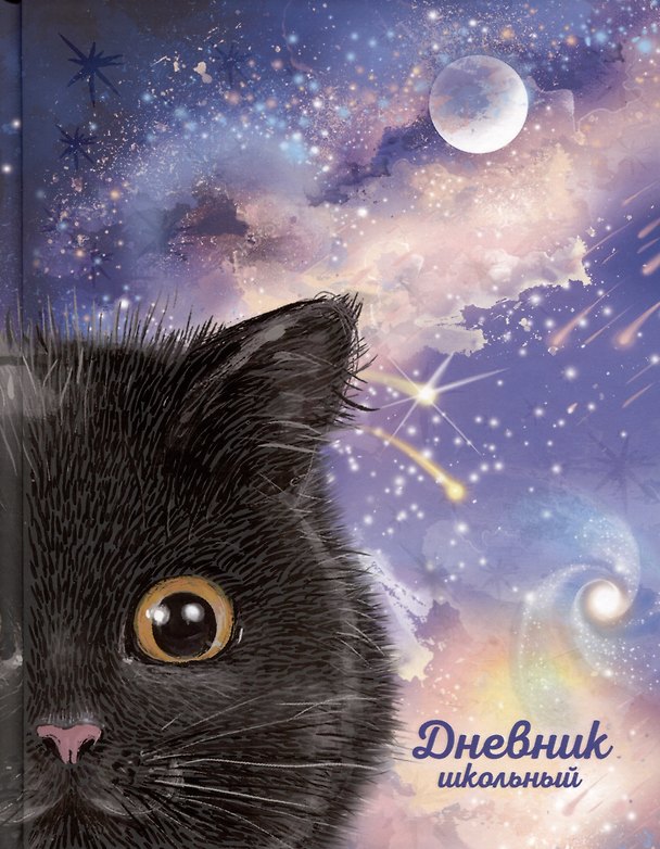 Дневник школьный «Черный котик», Феникс+ 2969646 — 1