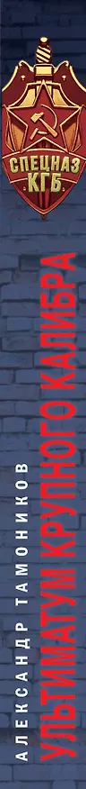Книга Ультиматум крупного калибра (Александр Тамоников) — 3