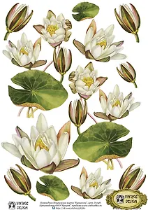 Декупажная карта переводная Кувшинки (D-048) (упаковка)