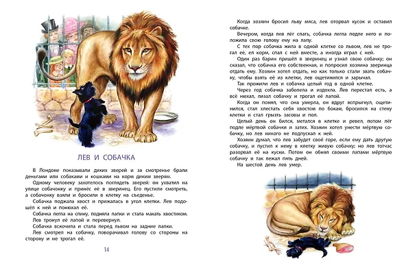 Книга Сказки. Басни. Были (Лев Толстой) — 13