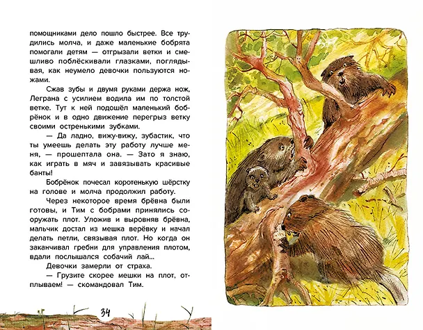 Книга Проводник, или Пять кедровых орешков (Елена Ива) — 3