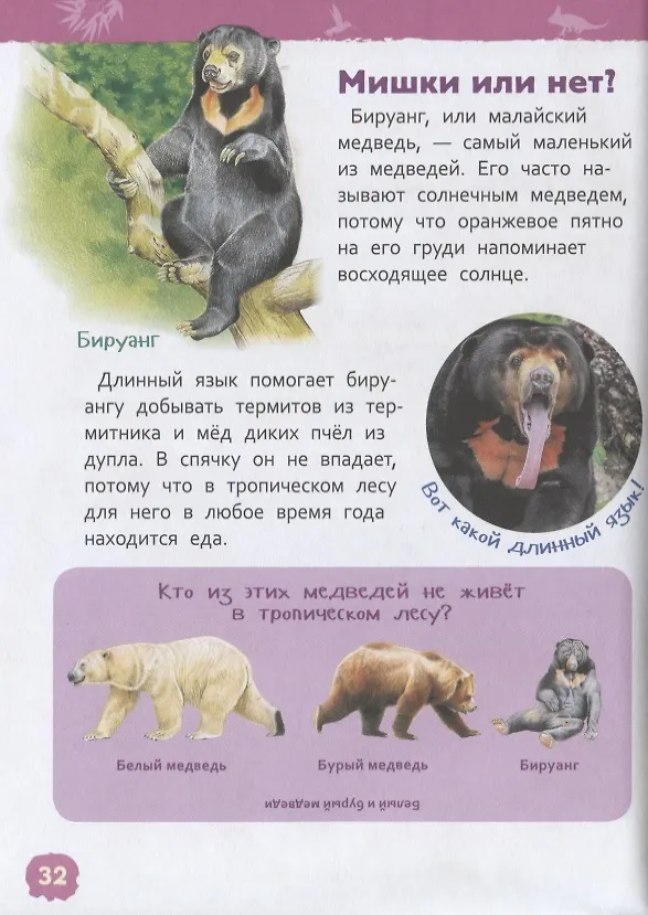 Книга Джунгли (Лариса Клюшник) — 5