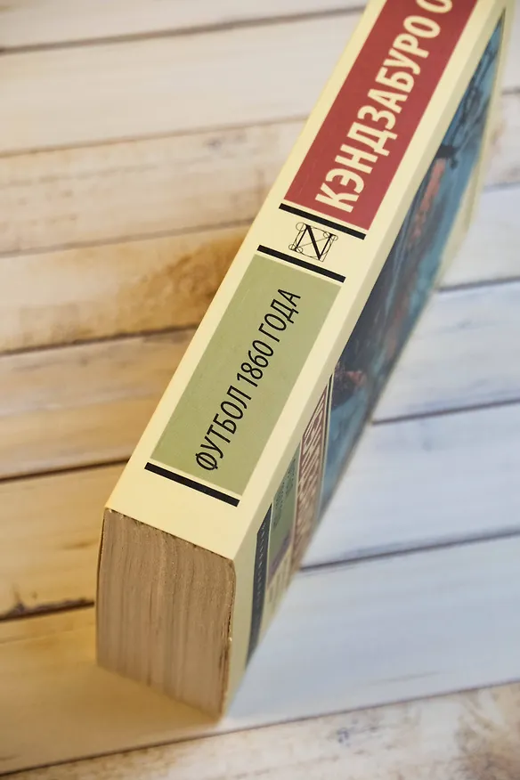 Книга Футбол 1860 года (Кэндзабуро Оэ) — 7