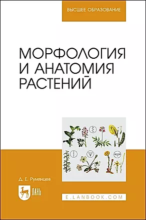 Морфология и анатомия растений. Учебное пособие — 2975436 — 1