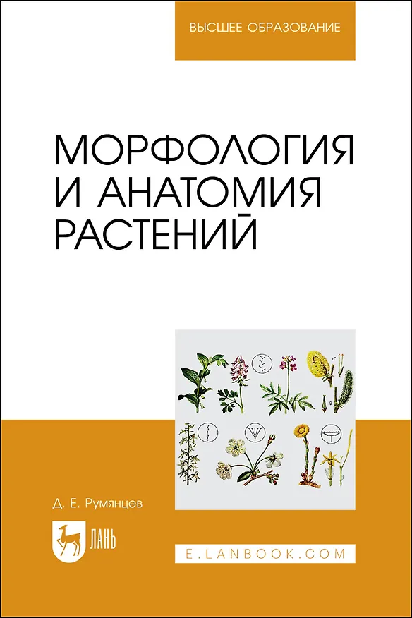 Книга Морфология и анатомия растений. Учебное пособие (Денис Румянцев) — 1
