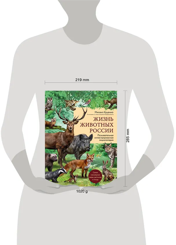 Книга Жизнь животных России. Познавательная иллюстрированная энциклопедия (Михаил Куценко) — 6