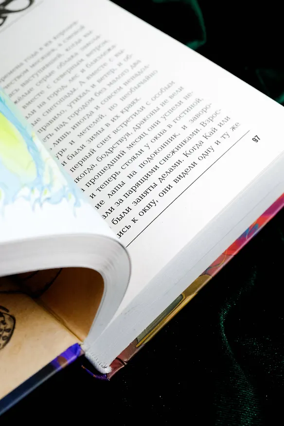 Книга Запечатление (Анастасия Князь) — 15