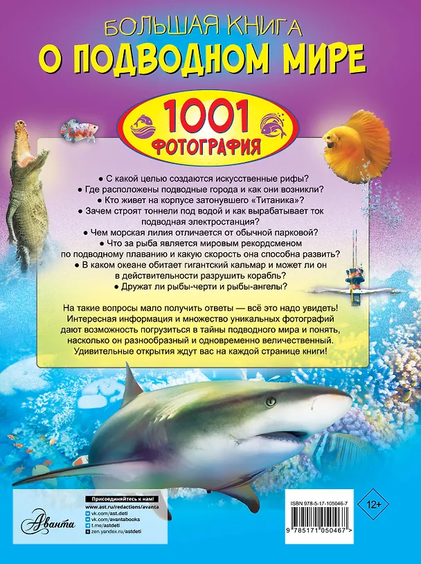 Книга Большая книга о подводном мире. 1001 фотография (Вячеслав Ликсо) — 2