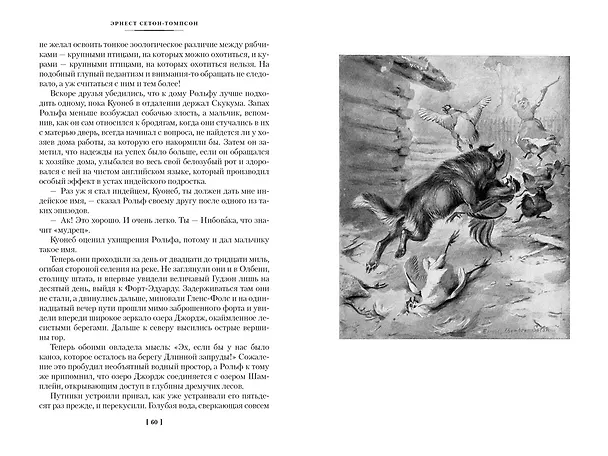 Книга Рольф в лесах. Лесные рассказы (Эрнест Сетон-Томпсон) — 30
