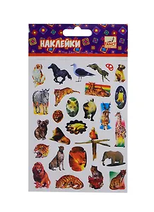 Наклейки Удивительный мир (FD060020) (C14302) (12х16см) (ассорти) (6 дизайнов) (упаковка)