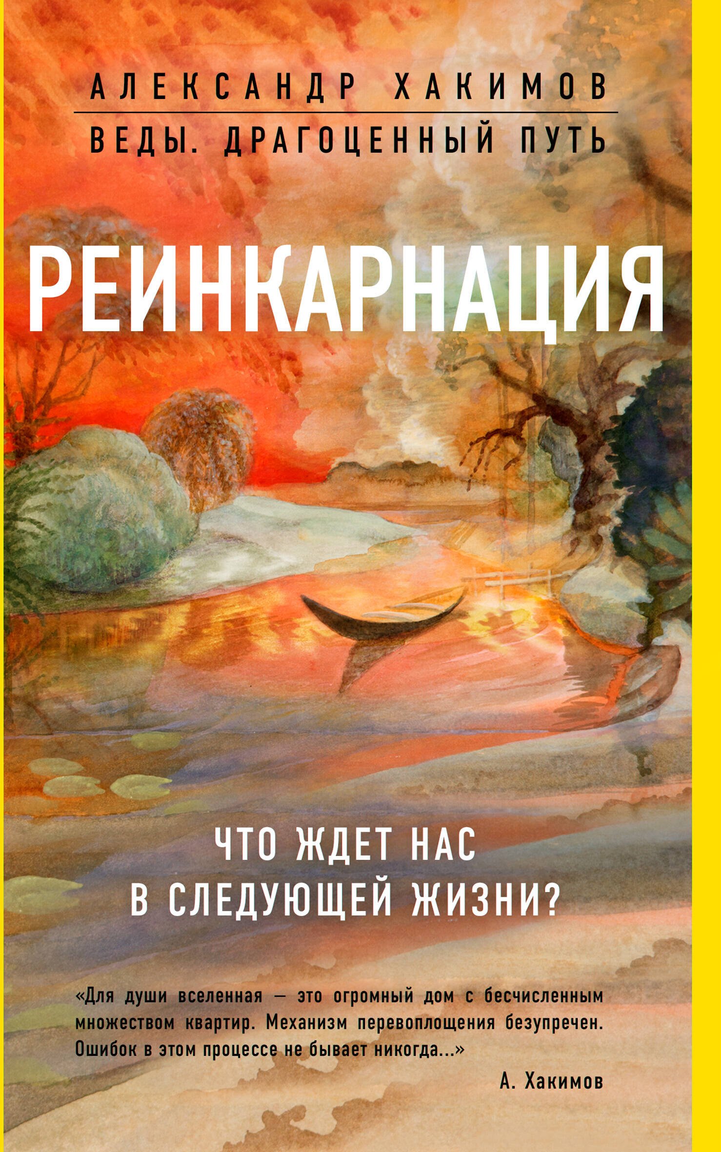 Александр Геннадьевич Хакимов Реинкарнация. Что ждет нас в следующей жизни?