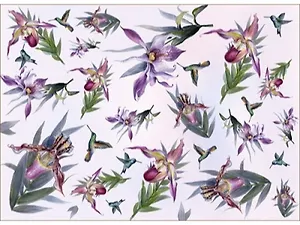 Декупажная карта В стране колибри