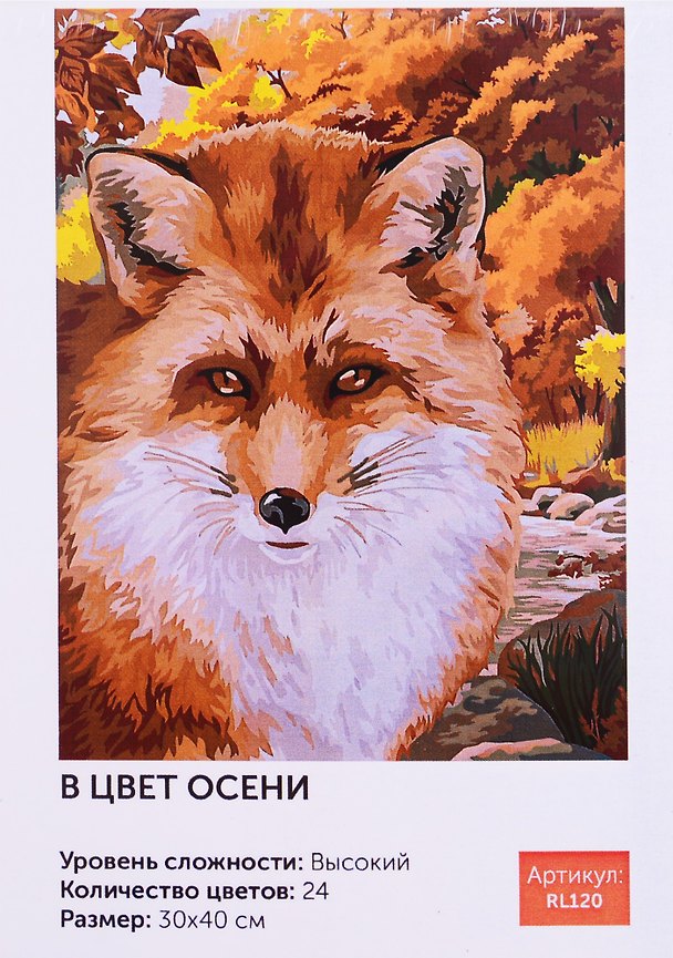 Картина по номерам В цвет осени 30*40 RL120 2781813 — 1