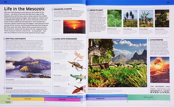 Книга Knowledge Encyclopedia Dinosaur! () — 5