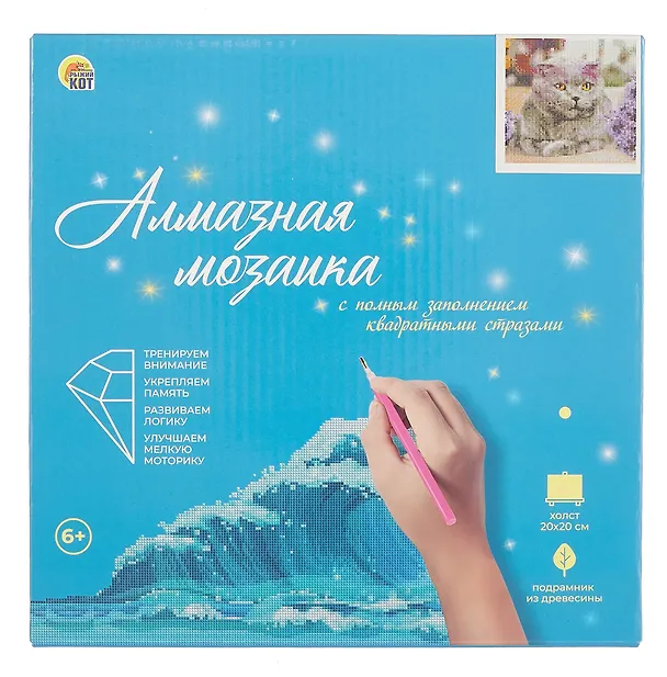 Алмазная мозаика (классическая) с подрамником, с полным заполнением, с квадратными стразами "Важный кот", 20 х 20 см 3059227 — 4