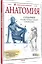 Анатомия. Создание реалистичных людей и животных + мастер-классы по QR-коду — 2959920 — 2