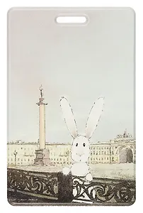 Чехол для карточек вертикальный СПб Августин (Дворцовая площадь) (ДК2024-467)