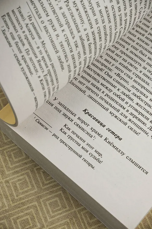 Книга История любовных похождений одинокой женщины (Ихара Сайкаку) — 8