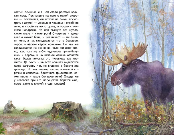 Книга Кладовая солнца (ил. В. Дударенко) (Михаил Пришвин) — 15