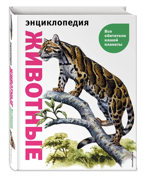 Книга Животные. Все обитатели нашей планеты (Дэвид Элдертон) — 5