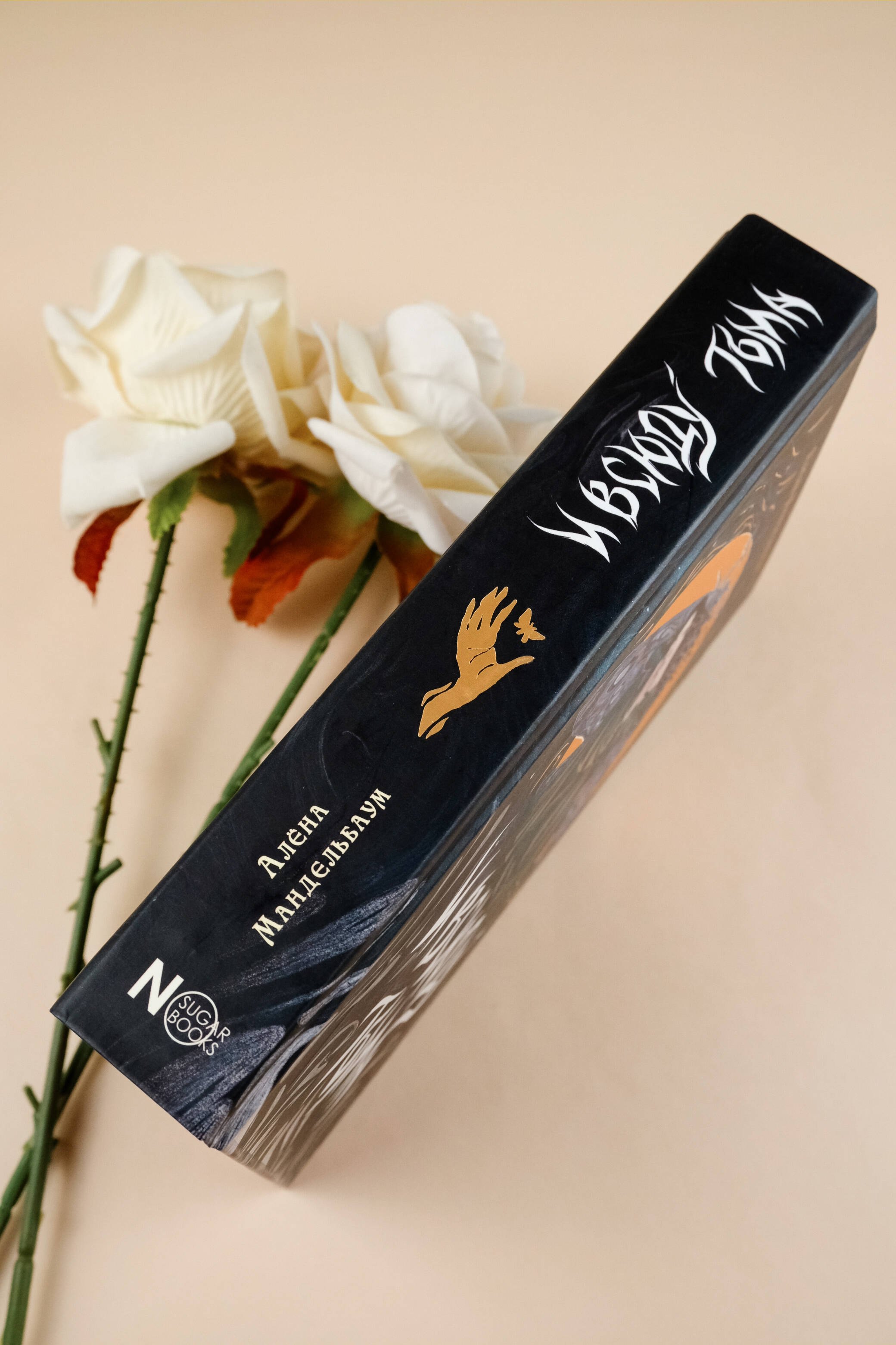 Изображение бумажной книги