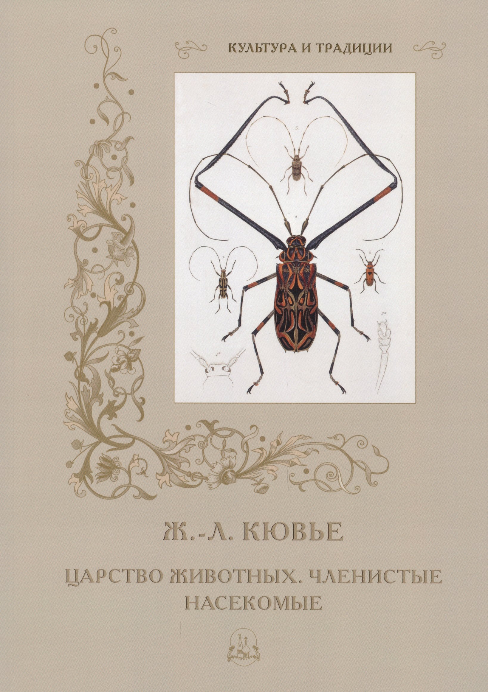 

Царство животных. Членистые. Насекомые