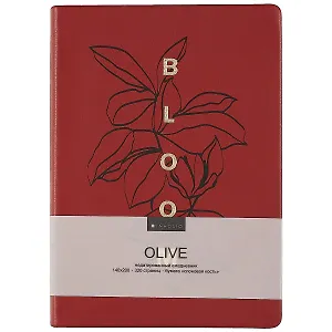 Ежедневник недат. А5 160л "Olive" бордовый, иск.кожа, интегр.переплет, тонир.блок, ляссе