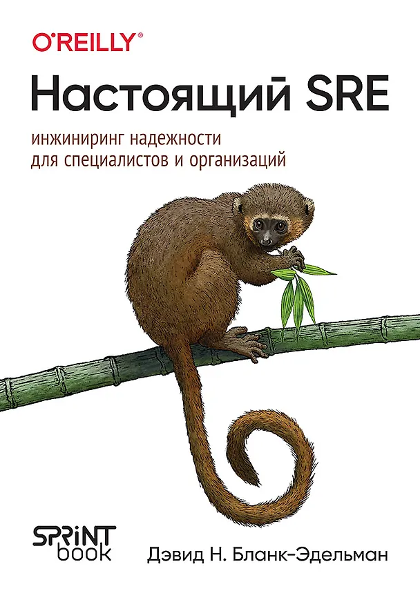 Книга Настоящий SRE: инжиниринг надежности для специалистов и организаций (Дэвид Н. Бланк-Эдельман) — 1